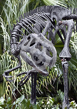 Dinosaur Skeleton Editorial Stock Photo