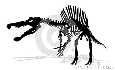 Dinosaur skeleton. Vector Illustration