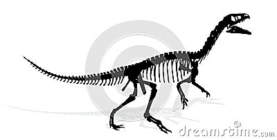 Dinosaur skeleton. Vector Illustration