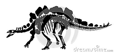 Dinosaur skeleton. Vector Illustration