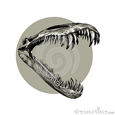 Dinosaur skeleton jaw sketch vector Vector Illustration