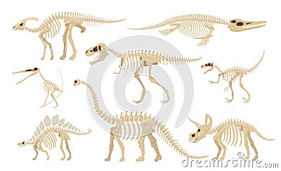 Dinosaur skeleton set vector illustration dino skeletons, dinosaurs, fossils, skull and bones Vector Illustration