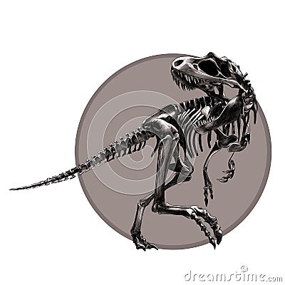 Dinosaur skeleton Tyrannosaurus Vector Illustration