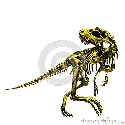 Dinosaur skeleton Tyrannosaurus Vector Illustration