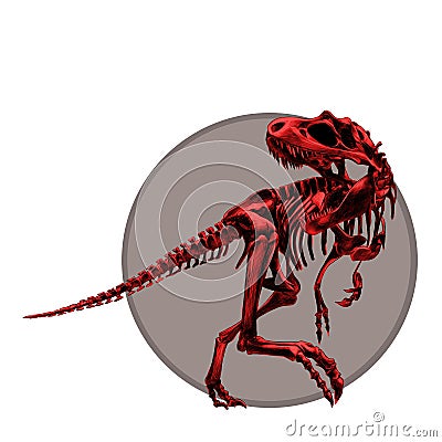 Dinosaur skeleton Tyrannosaurus Vector Illustration
