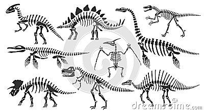 Dinosaur skeletons. Dino bones, stegosaurus fossil and tyrannosaurus skeleton. Remains of ancient animals vector Vector Illustration