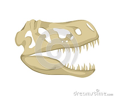 Dinosaur skull icon isolated on a white background, Tyrannosaurus Rex head fossil. Ancient remains of dino skeleton Vector Illustration