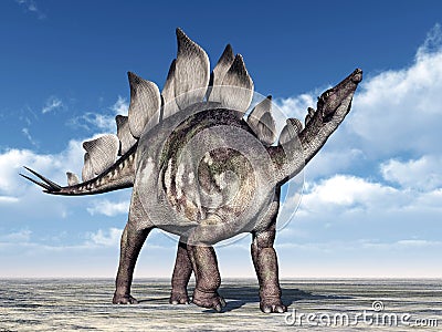 Dinosaur Stegosaurus Cartoon Illustration