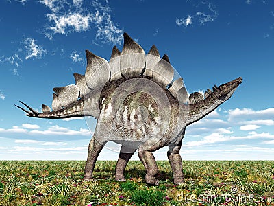 Dinosaur Stegosaurus Cartoon Illustration