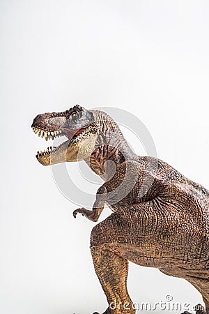 Dinosaur , T-rex , Tyrannosaurus on white background Stock Photo