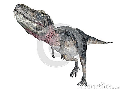 Dinosaur Tarbosaurus Cartoon Illustration