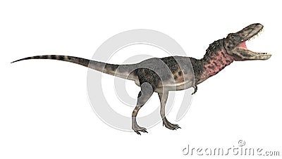 Dinosaur Tarbosaurus Stock Photo
