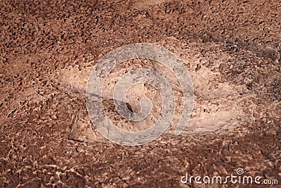 Dinosaur tracks, outside Moab, Utah, USA Stock Photo