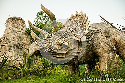 Dinosaur Stock Photo