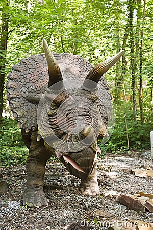 Dinosaur - Triceratops Stock Photo