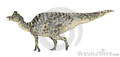 Dinosaur Velafrons on white background Cartoon Illustration