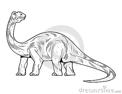 Brontosaurus the highest dino dinosaur Vector Illustration