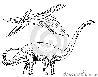 Dinosaur Brachiosaurus or sauropod, Plateosaurus, Diplodocus, Apatosaurus, Pterosaur, skeletons, fossils, winged lizard Vector Illustration