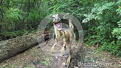 Dinosaurs Stock Photo