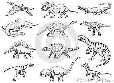 Dinosaurs set, Tyrannosaurus rex, Triceratops, Barosaurus, Diplodocus, Velociraptor, Triceratops, Stegosaurus, skeletons Vector Illustration
