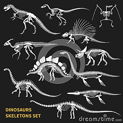 Dinosaurs Skeletons Chalkboard Icons Set Vector Illustration