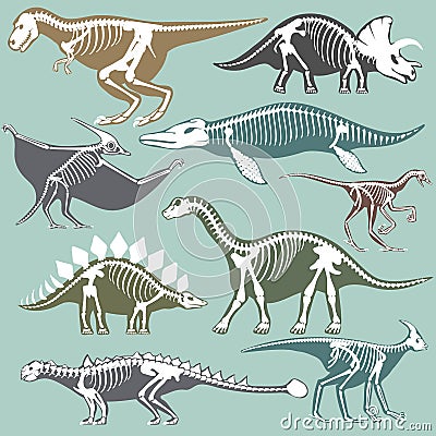 Dinosaurs skeletons silhouettes set fossil bone tyrannosaurus prehistoric animal dino bone vector flat illustration. Vector Illustration