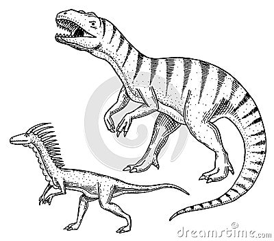 Dinosaurs Tyrannosaurus rex, Velociraptor, Ceratosaurus, Afrovenator, Megalosaurus, Tarbosaurus, Struthiomimus skeletons Vector Illustration