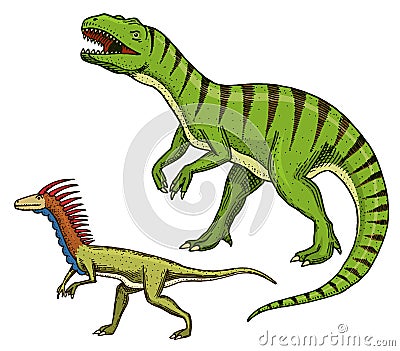 Dinosaurs Tyrannosaurus rex, Velociraptor, Ceratosaurus, Afrovenator, Megalosaurus, Tarbosaurus, Struthiomimus skeletons Vector Illustration