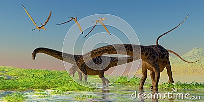 Diplodocus Feeding Stock Photo