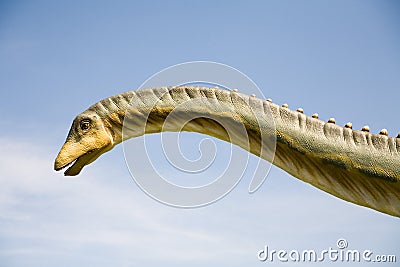 Diplodocus longus neck Stock Photo