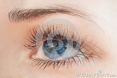 Diplopia concept - double vision. Diagnosis in Opthalmology Stock Photo