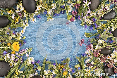 Direct view, denim background in the center, wild flowers on the contour of the jean surface. Copy space Stock Photo