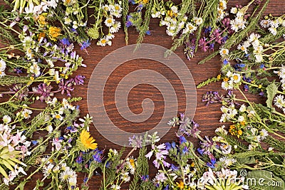 Direct view, wooden background in the center, wild flowers on the contour of the board surface. Copy space Stock Photo