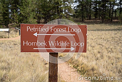 Directional sign for two trails at Florrisant Fossil Beds National Monument - Petrified Forest Loop and Hornbeck Wildlife Loop Stock Photo