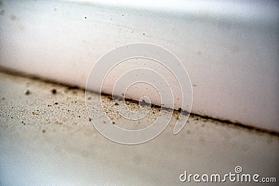 Dirt and mold at the junction of the white walls Stock Photo