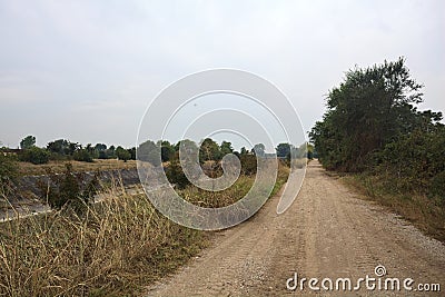 Dirt path bordered by trees next to a diversionary channel on a cloudy day before a rainfall in the italian countryside Stock Photo