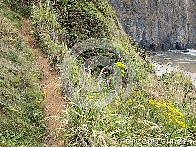 Dirt path by the Oregon coast Stock Photo