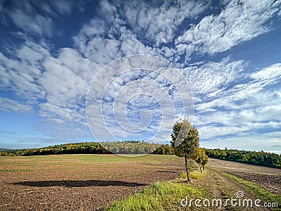 Dirt path between plowed fields with alley and autumn colored forest Stock Photo