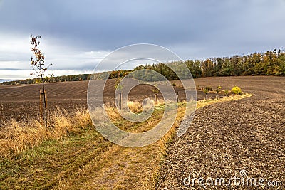 Dirt path between plowed fields - colorful autumn landscape Stock Photo