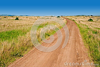 Dirt Road Stock Photo