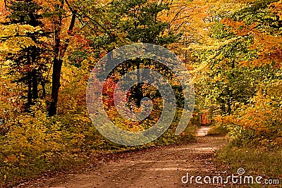 Dirt Road in Autumn-Michigan's Upper Peninsula Stock Photo