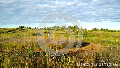 Dirt road with beautiful summer blossoming field in the background Stock Photo