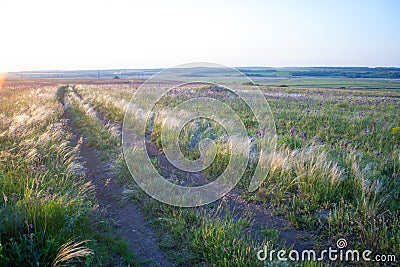 Dirt road goes into the cloud on the horizon Stock Photo