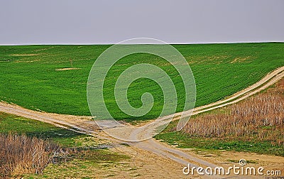 A dirt road goes in spring green field to the horizon Stock Photo