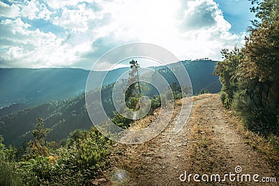 Dirt road on hilly terrain in sundown Stock Photo