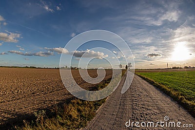 A dirt road leading between cultivated fields. A country road le Stock Photo