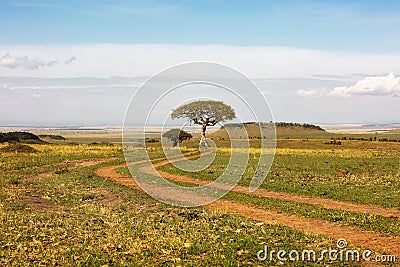 Dirt Road Leading Through Kenya Africa Field Stock Photo