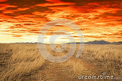 A dirt road leading off into the distance to mountains on the horizon under a clear blue sky Stock Photo
