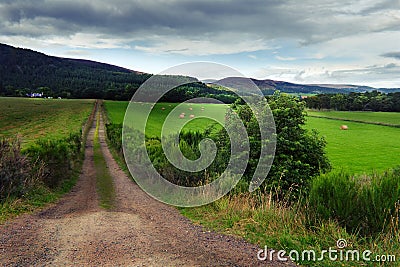 Dirt Road Leading to Farm House in Field Stock Photo