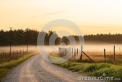 Dirt road leading to fog and sunrise during sunrise Stock Photo